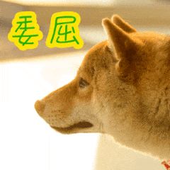 1653026749661235.jpg 微信图片_20220520140307.jpg